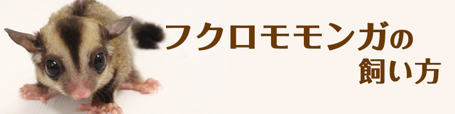 即発送可能】 三晃商会 木製 リス コーナーハウス ペット用品 モモンガ用木製ハウス